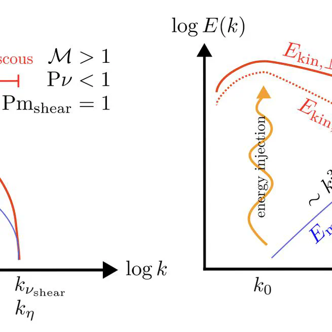 Taking control of compressible modes: bulk viscosity and the turbulent dynamo