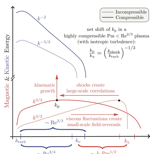 Fundamental MHD scales -- II: the kinematic phase of the supersonic small-scale dynamo