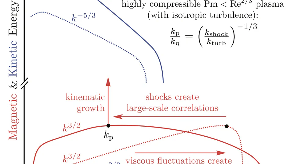 Fundamental MHD scales -- II: the kinematic phase of the supersonic small-scale dynamo