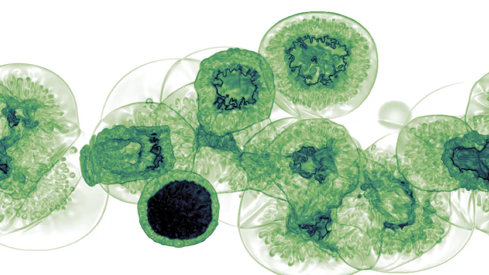 So long Kolmogorov: the forward and backward turbulence cascades in a supernovae-driven, multiphase interstellar medium